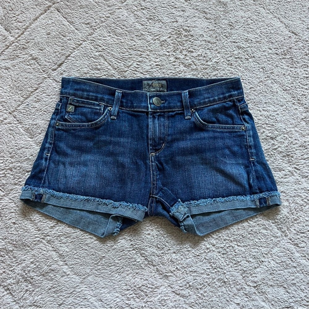 AGOLDE Zoe Denim Shorts Preppy Minimalist Biker Capsule Quiet Luxury Jorts Sz 25